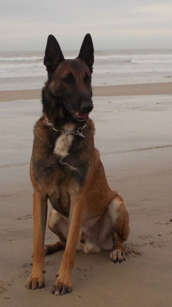 Doom du Banc des Hermelles